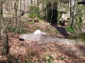 01 Zoo Mulhouse